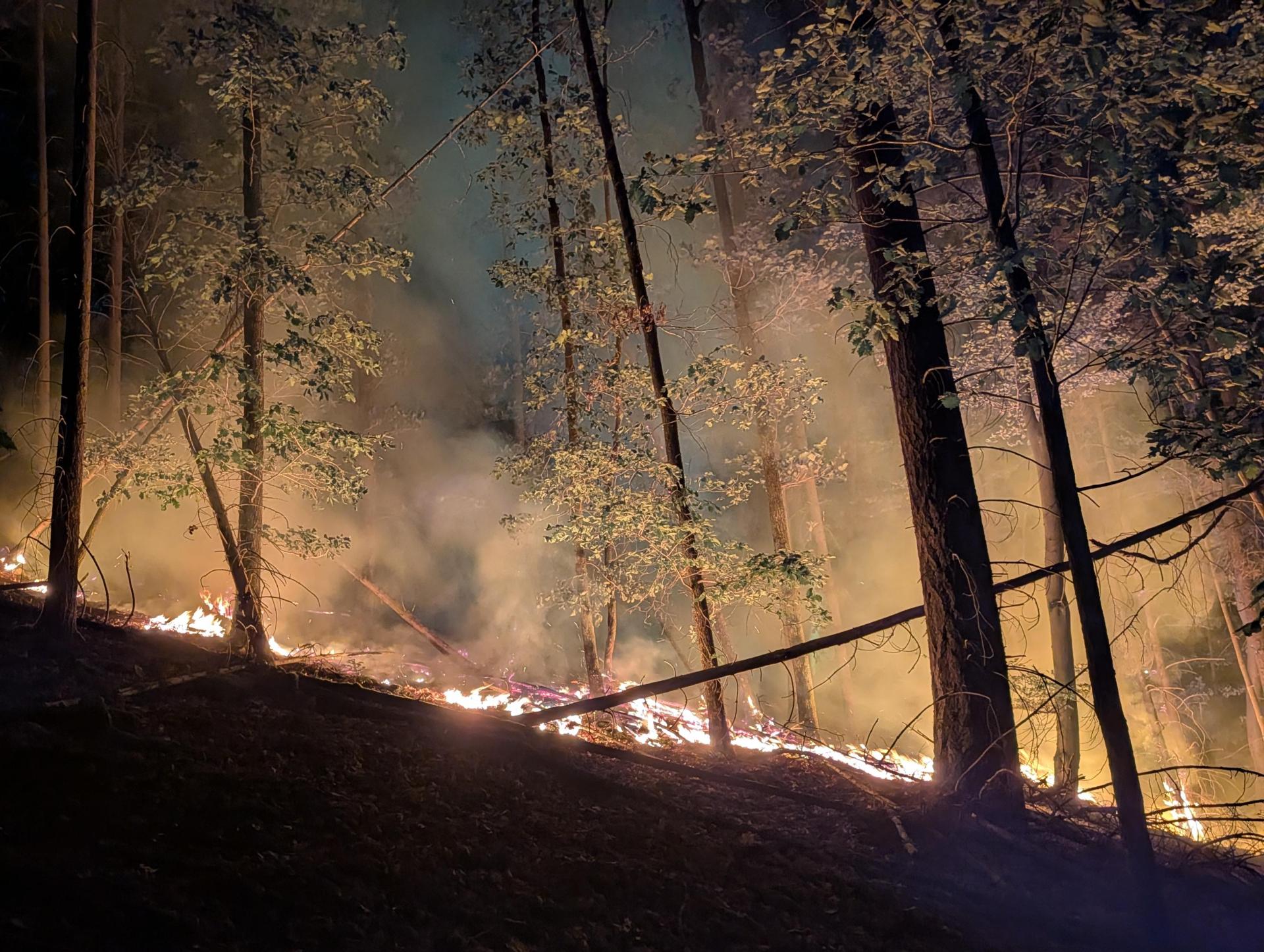 Dienstag gegen 21 Uhr, vier Tage nach dem Ausbruch des Waldbrandes flackern wieder Flammen am Johannisberg. (Bild: Armin Daubenmerkl)