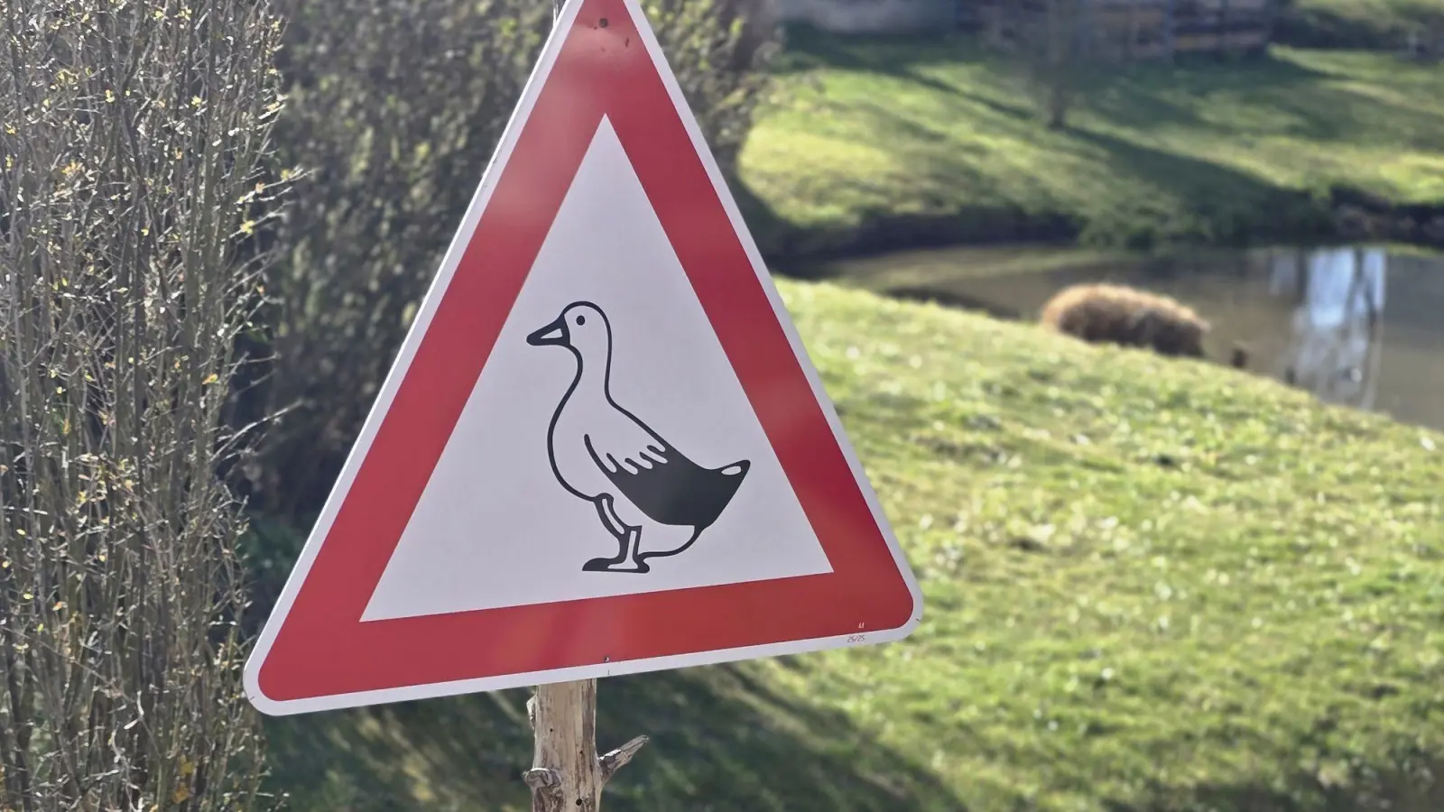 Ein nicht amtliches Verkehrszeichen „Freilaufende Ente“ wurde in Großalbershof gestohlen. (Bildquelle: privat)