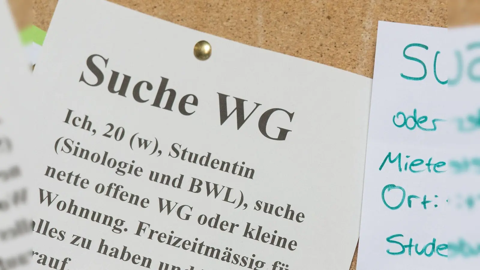 Auf dem Schwarzen Brett könnt ihr nach Angeboten suchen und Gesuche aufhängen. (Symbolbild: Patrick Seeger/dpa)