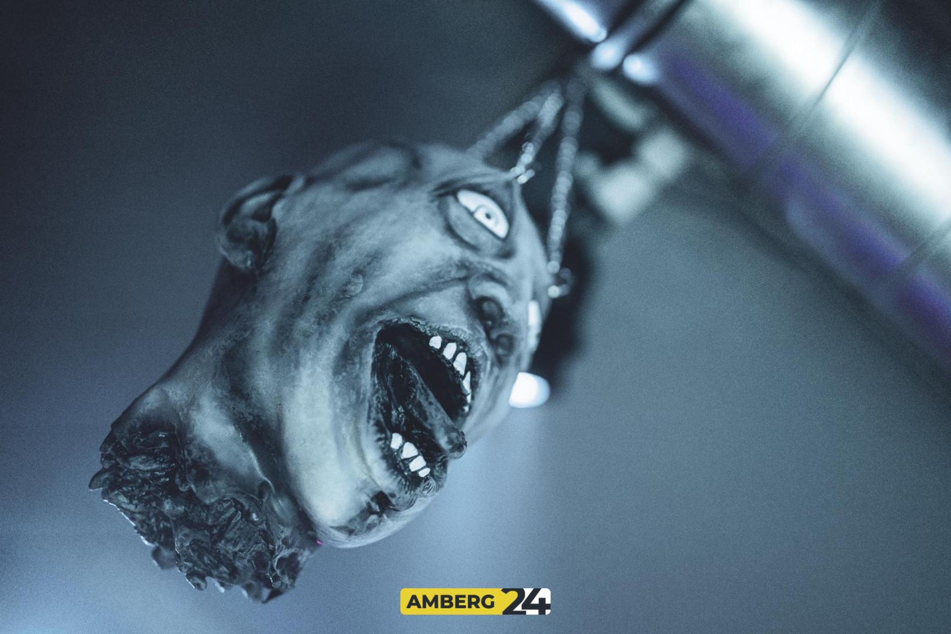 Saures auf die Ohren und eine spooky Atmo haben die Veranstalter der fetten Halloween-Party im Happy Rock versprochen. (Bild: Julia Bär)