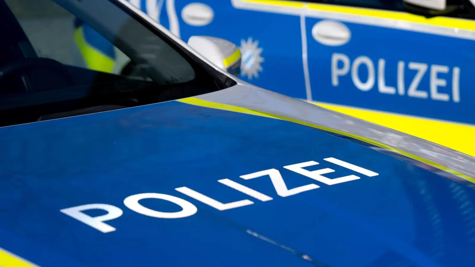 Eine 39-Jährige muss nach einem Ladendiebstahl in Amberg mit einem Strafverfahren wegen Diebstahls rechnen. (Symbolbild: Sven Hoppe/dpa)