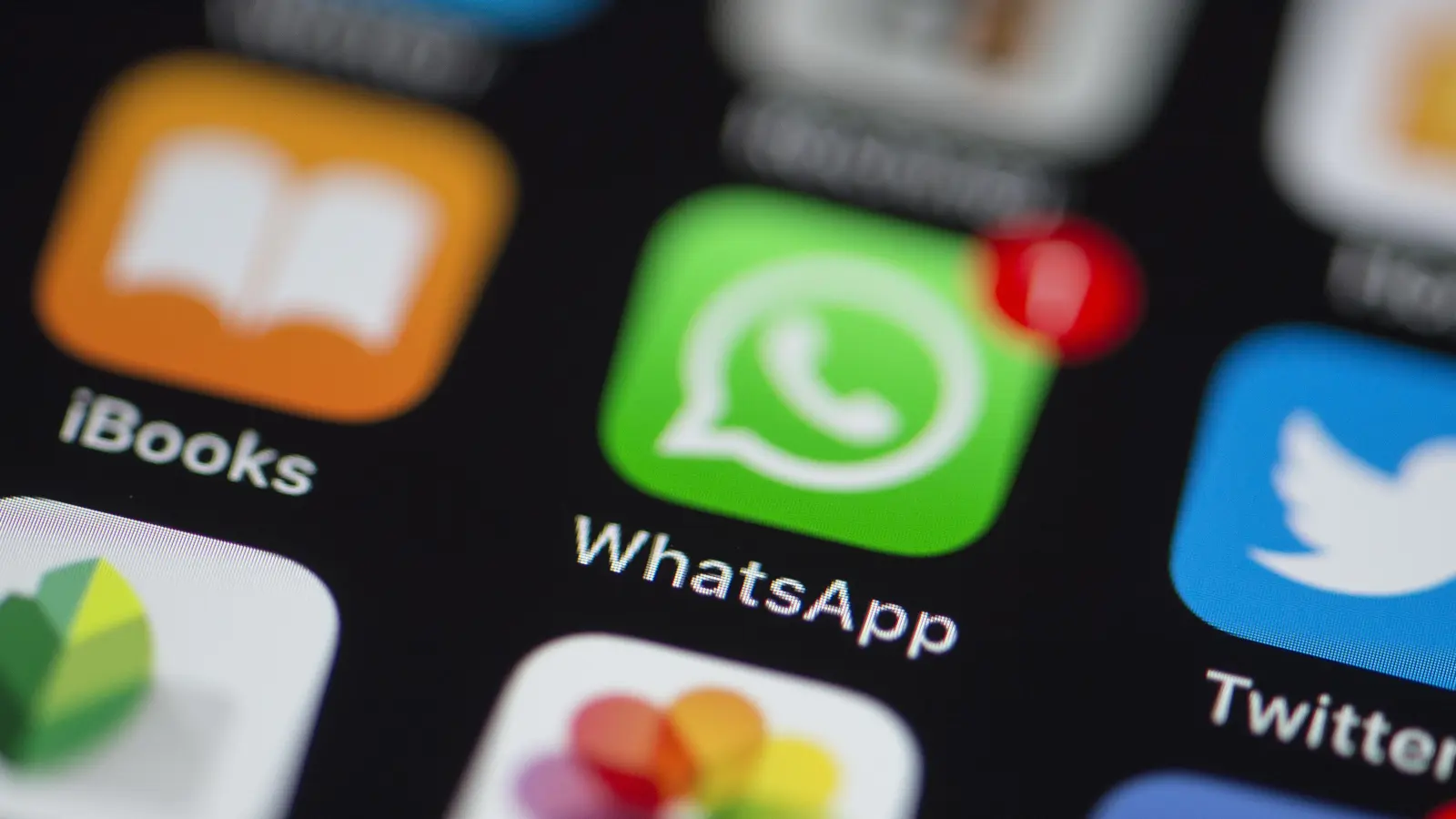 Über WhatsApp kontaktierte ein angeblicher Anwalt einen 42-Jährigen aus Sulzbach-Rosenberg und ergaunerte so 700 Euro.  (Symbolbild: Silas Stein/dpa)