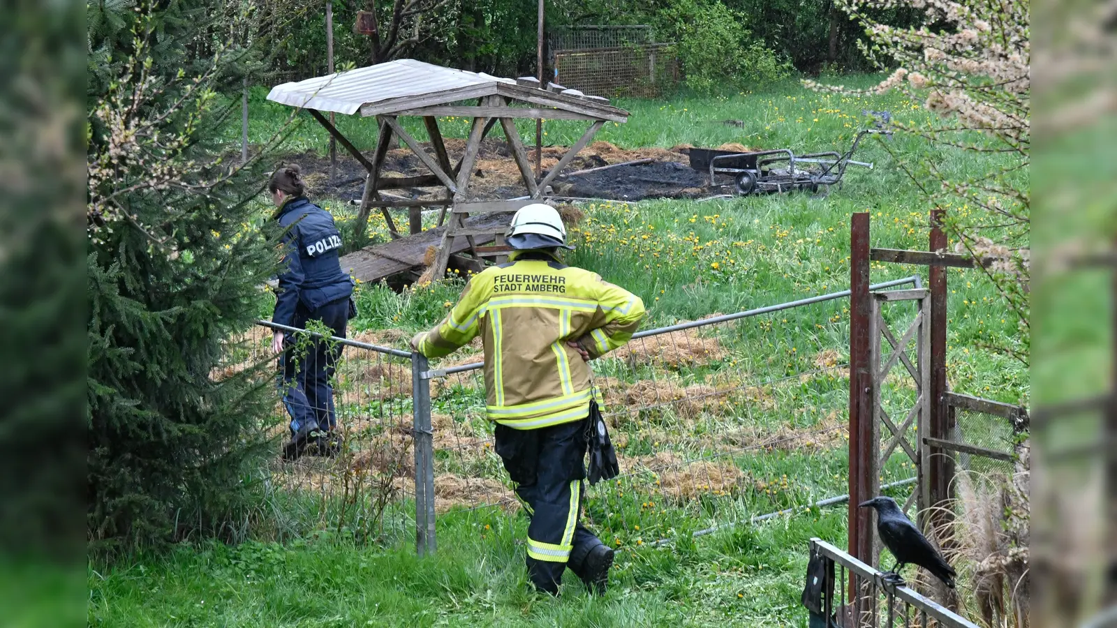 Möglicherweise ist das Feuer in einem Schrebergarten in Amberg absichtlich gelegt worden. (Bild: Petra Hartl)