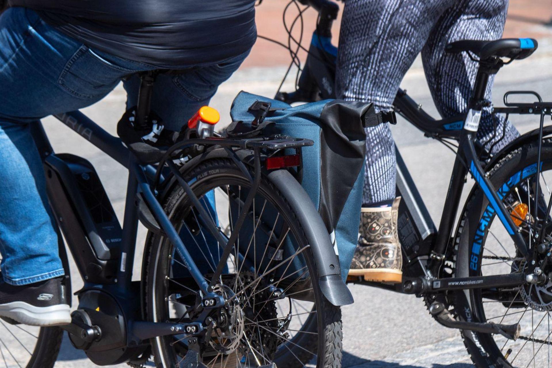 Mit seinem Pedelec stürzte ein Mann im Hirschwald. (Symbolbild: Stefan Sauer/dpa)