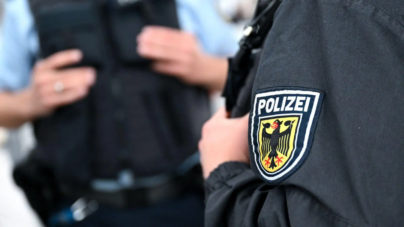 Bundespolizisten nahmen den Mann in einem Regionalzug fest. (Symbolbild: Sven Hoppe/dpa)