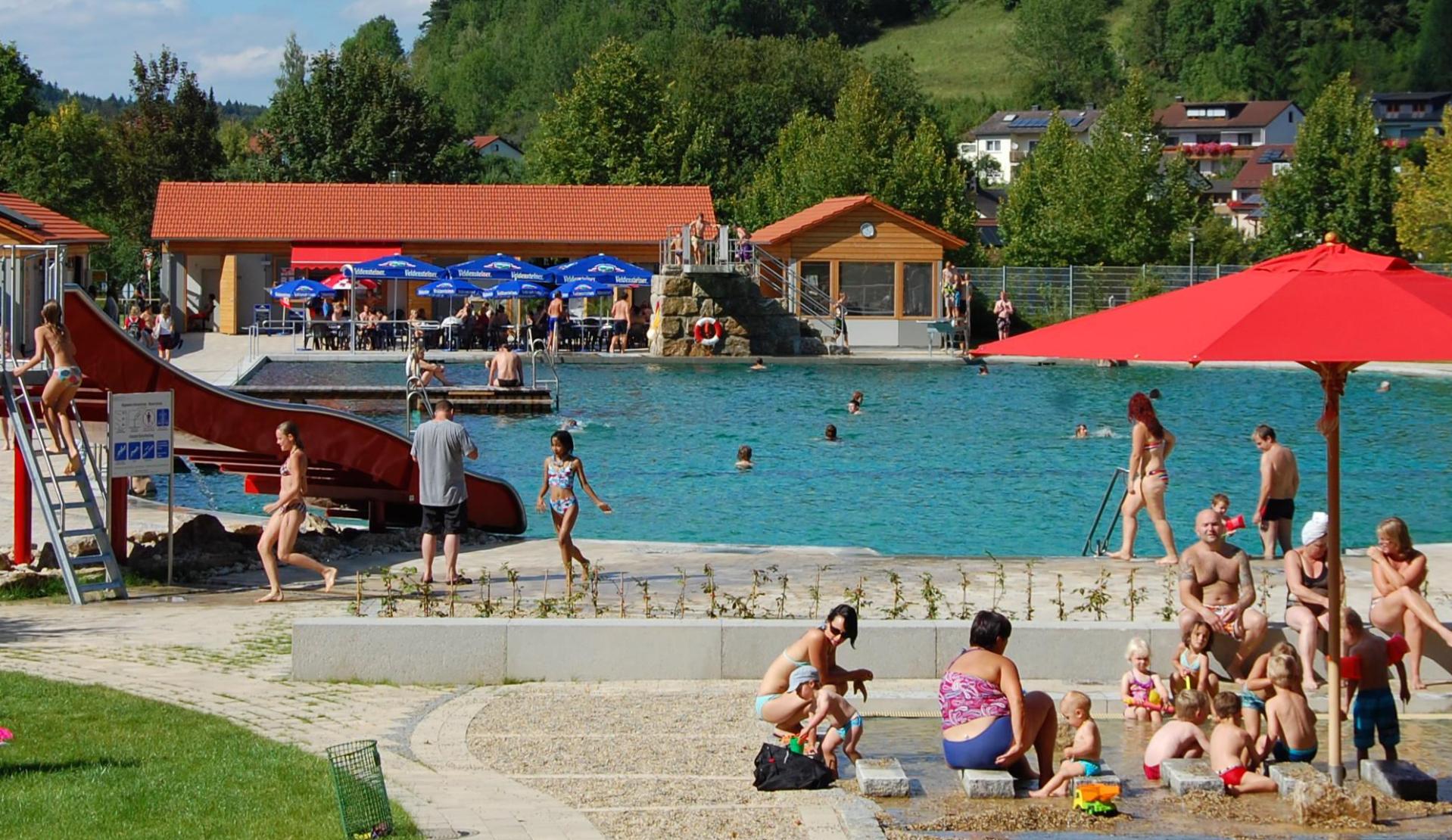 Unbemerkt von den meisten Badegästen, sind im August einige Sabotage-Akte im Königsteiner Naturbad verübt worden. (Bild: hdk)