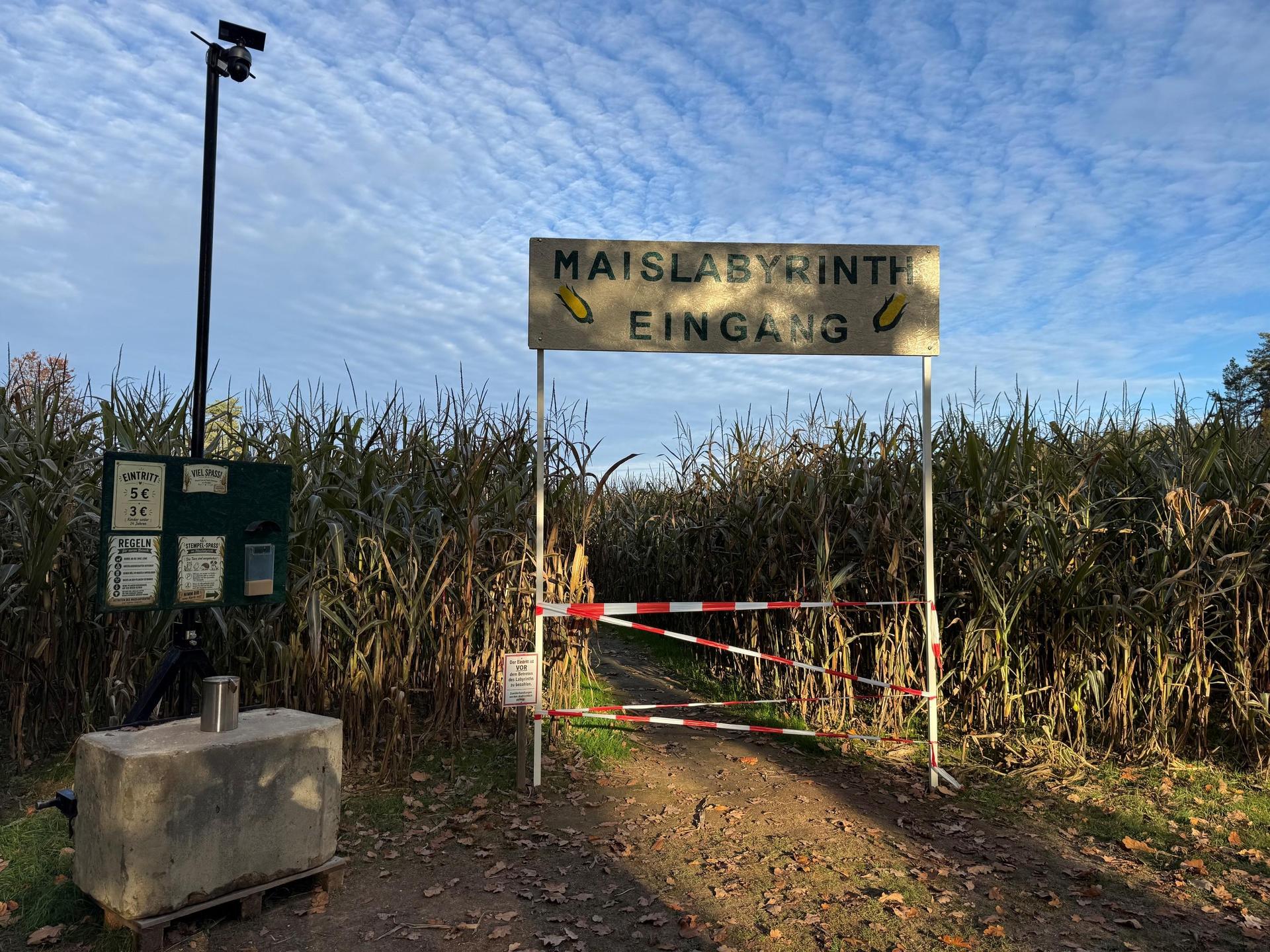 Momentan ist das Auerbacher Maislabyrinth geschlossen, es muss erst noch hergerichtet werden für Halloween.  (Bild: Heike Unger)