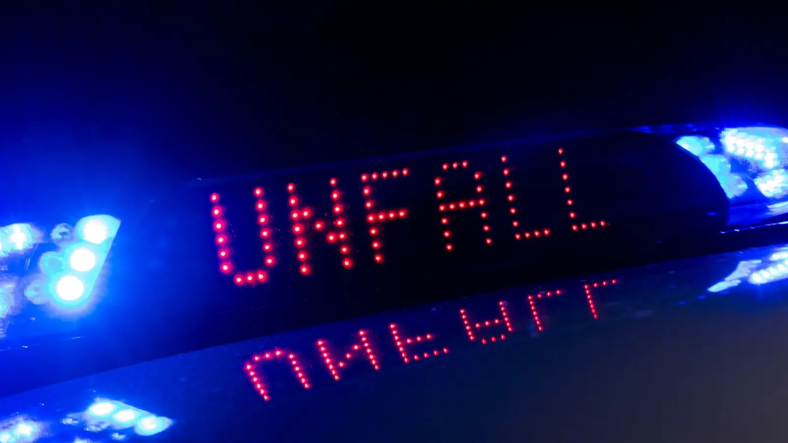 Bei Edelsfeld ist ein Pferdetransporter mit einem Reh kollidiert. (Symbolbild: Monika Skolimowska/dpa)