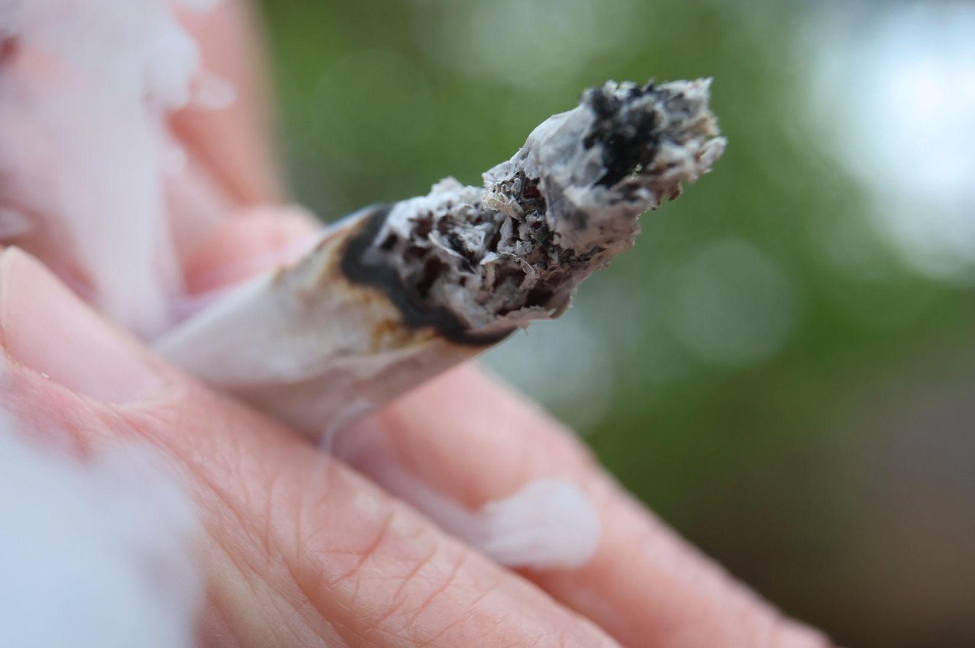 Laut Studie rauchte eine große Mehrheit der Cannabis-Konsumenten Joints. (Symbolbild) (Bild: Karl-Josef Hildenbrand/dpa)