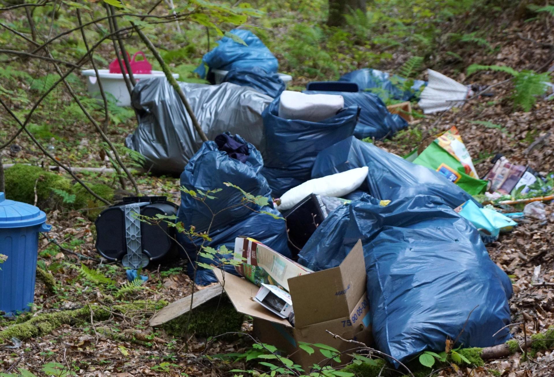 Das ist zwar nur ein Symbolbild, doch so ähnlich sah es in einem Waldstück nahe Ranna bei Auerbach wohl auch aus: Dort hatte ein Senior Plastiktüten und Farbeimer illegal im Wald entsorgt.  (Symbolbild: bkr)