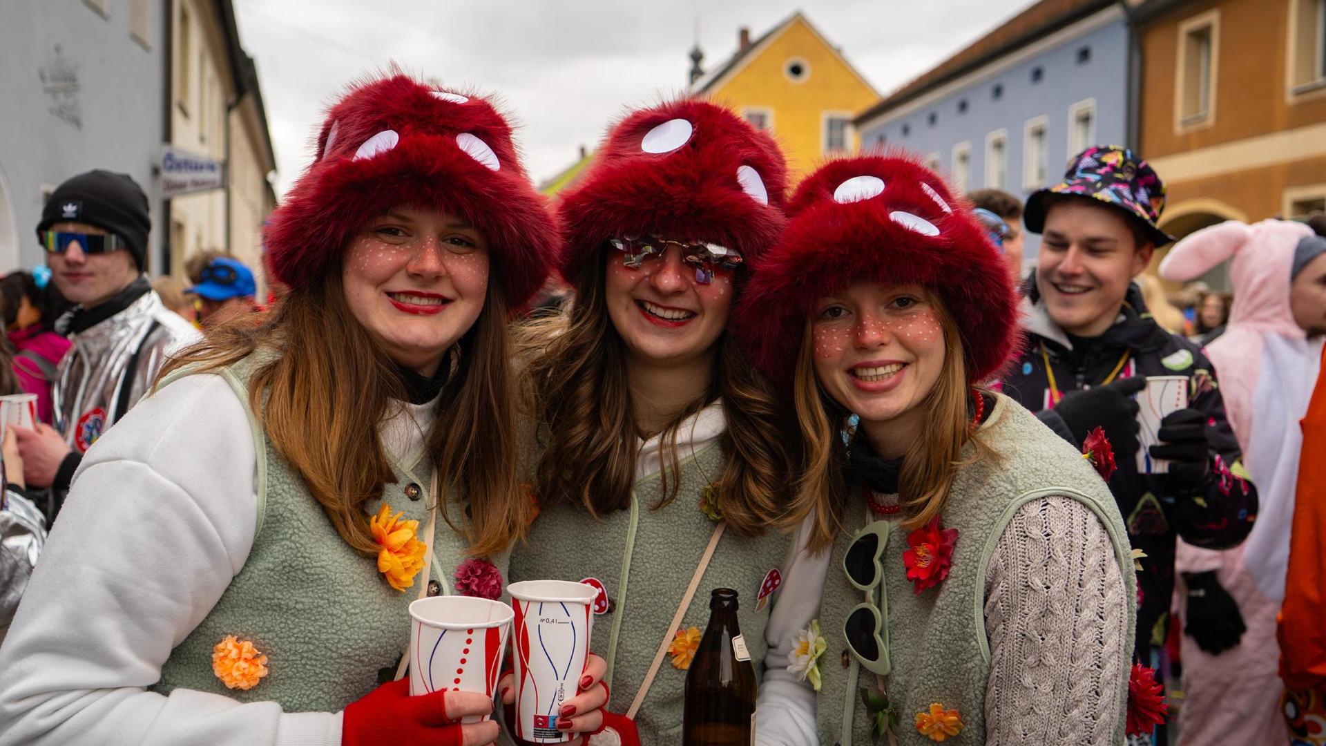 In Hahnbach ging es am Sonntag vor, während und vor allem nach dem Faschingszug richtig ab. (Bild: knz)