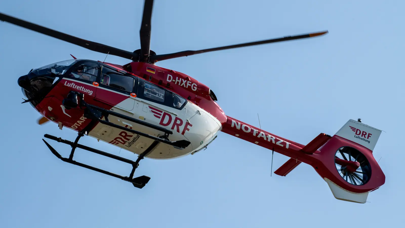 Ein 14-Jähriger zog sich bei Waldarbeiten schwere Kopfverletzungen zu. (Symbolbild: Stefan Sauer/dpa)