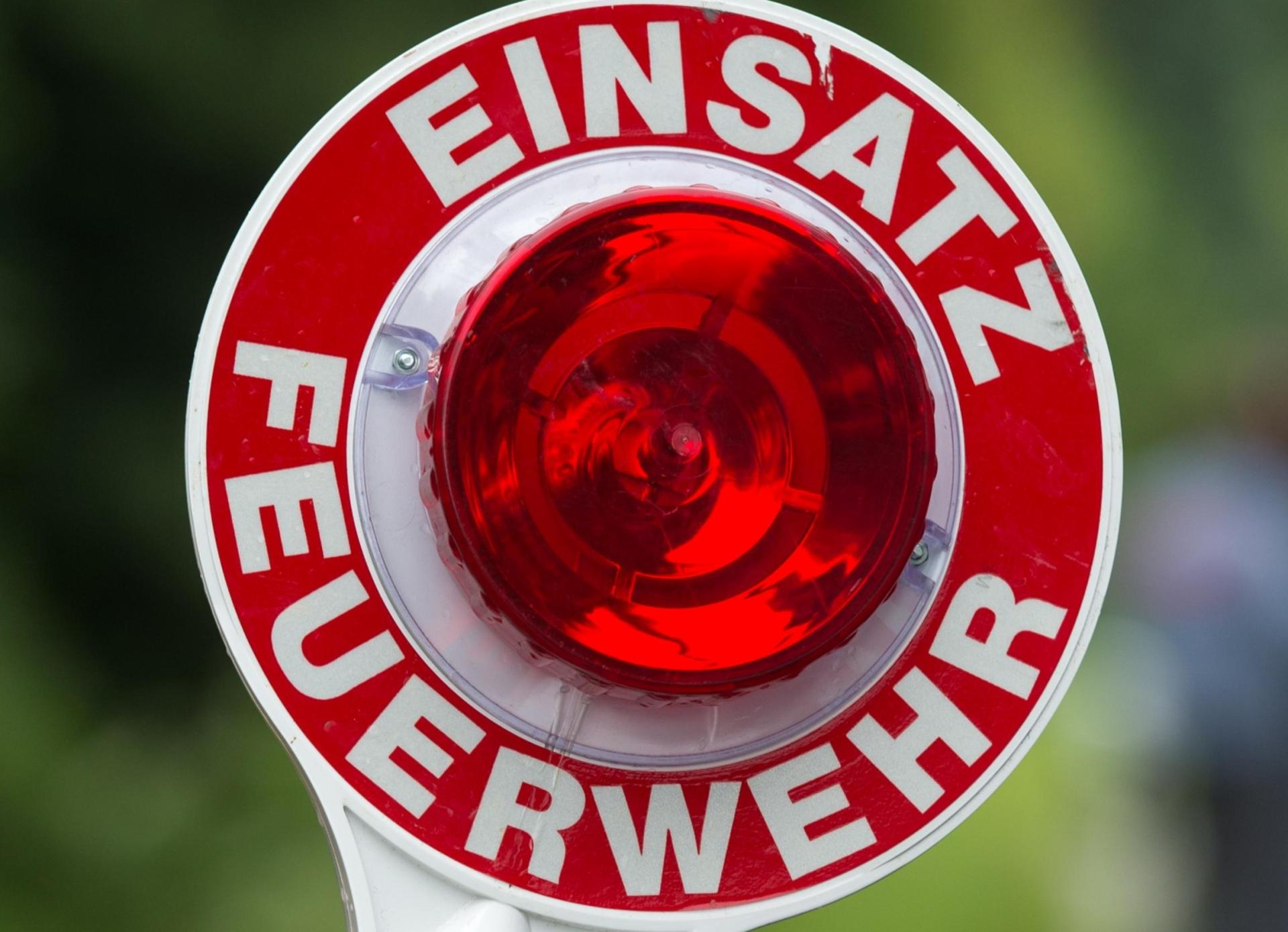 Ein Ast fiel bei Baumschnittarbeiten auf den Kopf einer Frau in Neukirchen. (Symbolbild: Armin Weigel/dpa)