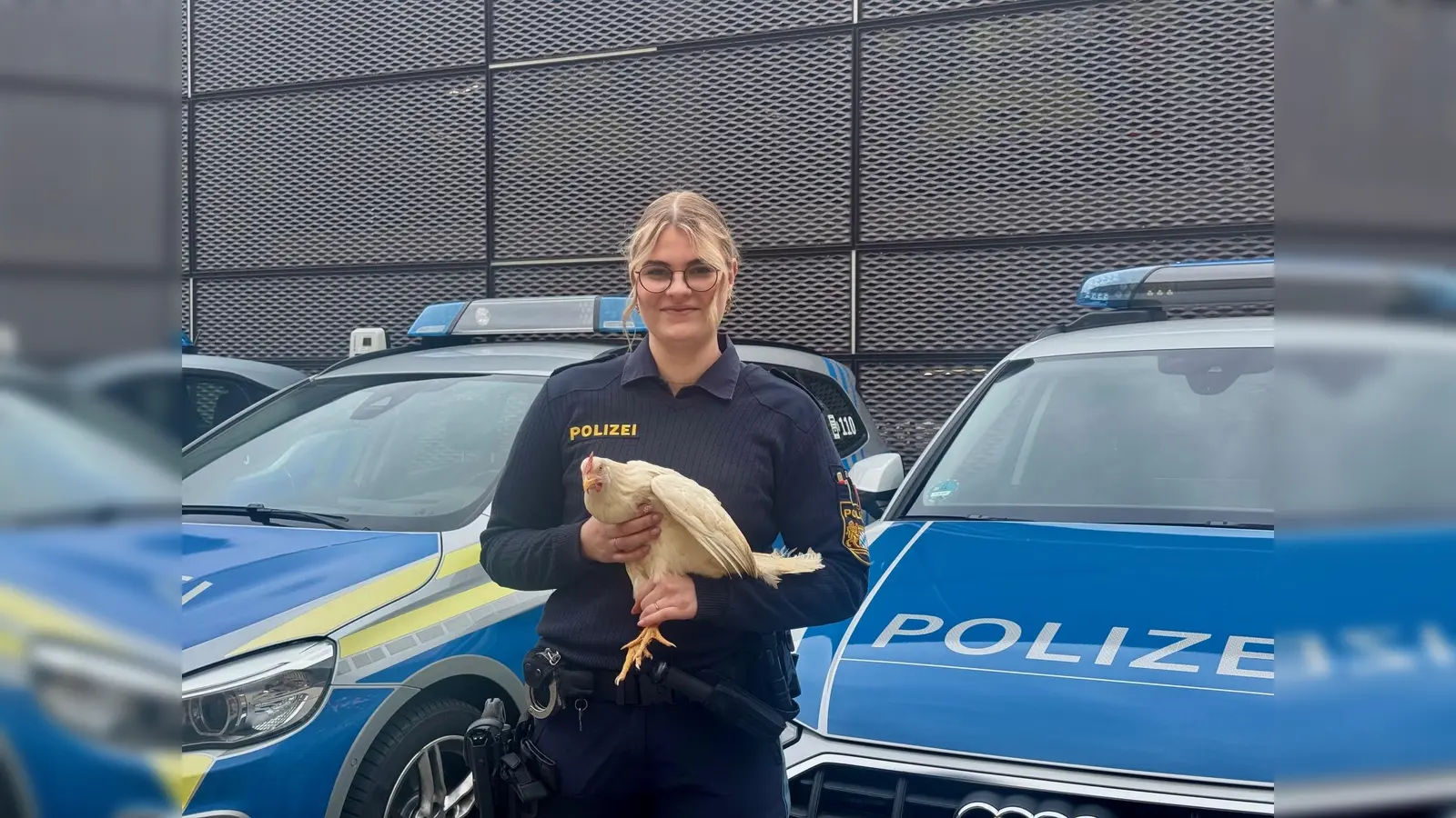 Die Polizei konnte sechs lebende Hühner wieder ihrem Besitzer übergeben. (Bild: PI Regensburg Süd/ba)
