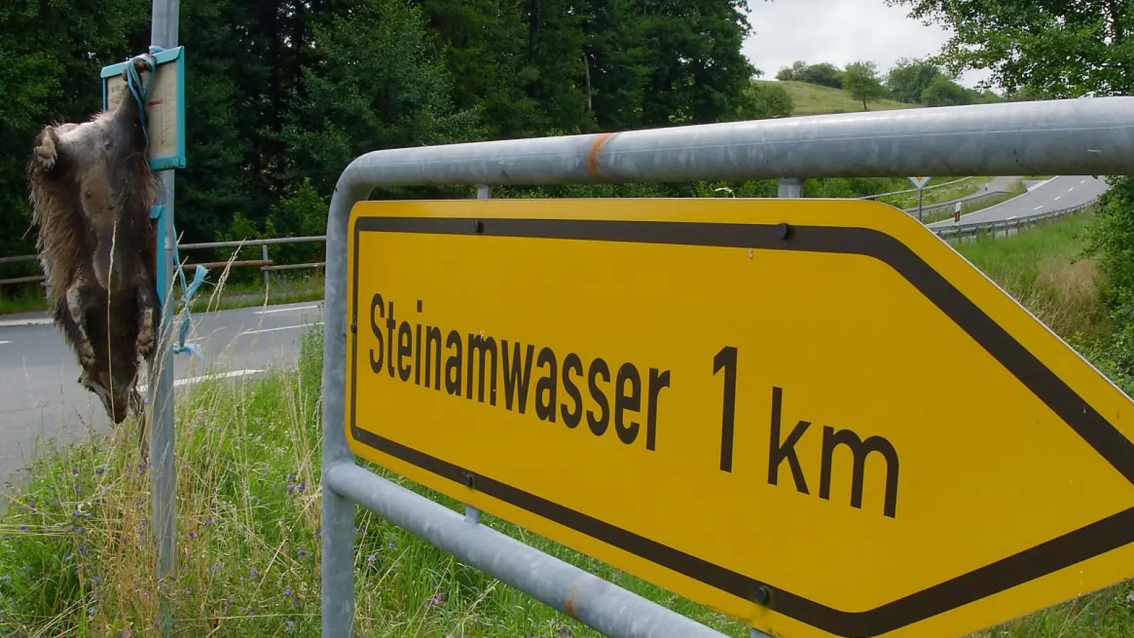 Bei der Abzweigung nach Steinamwasser hing der tote Dachs an einem Verkehrsschild. (Bild: Emil Jenne, Verlag Mensch und Gedanke)