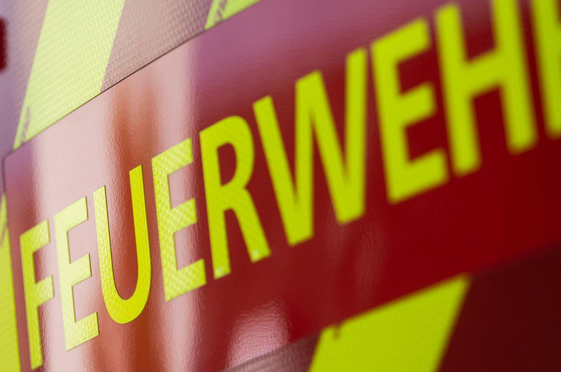 Der Arbeiter war gerade mit Baumpflegearbeiten beschäftigt. (Symbolbild) (Bild: Marijan Murat/dpa)