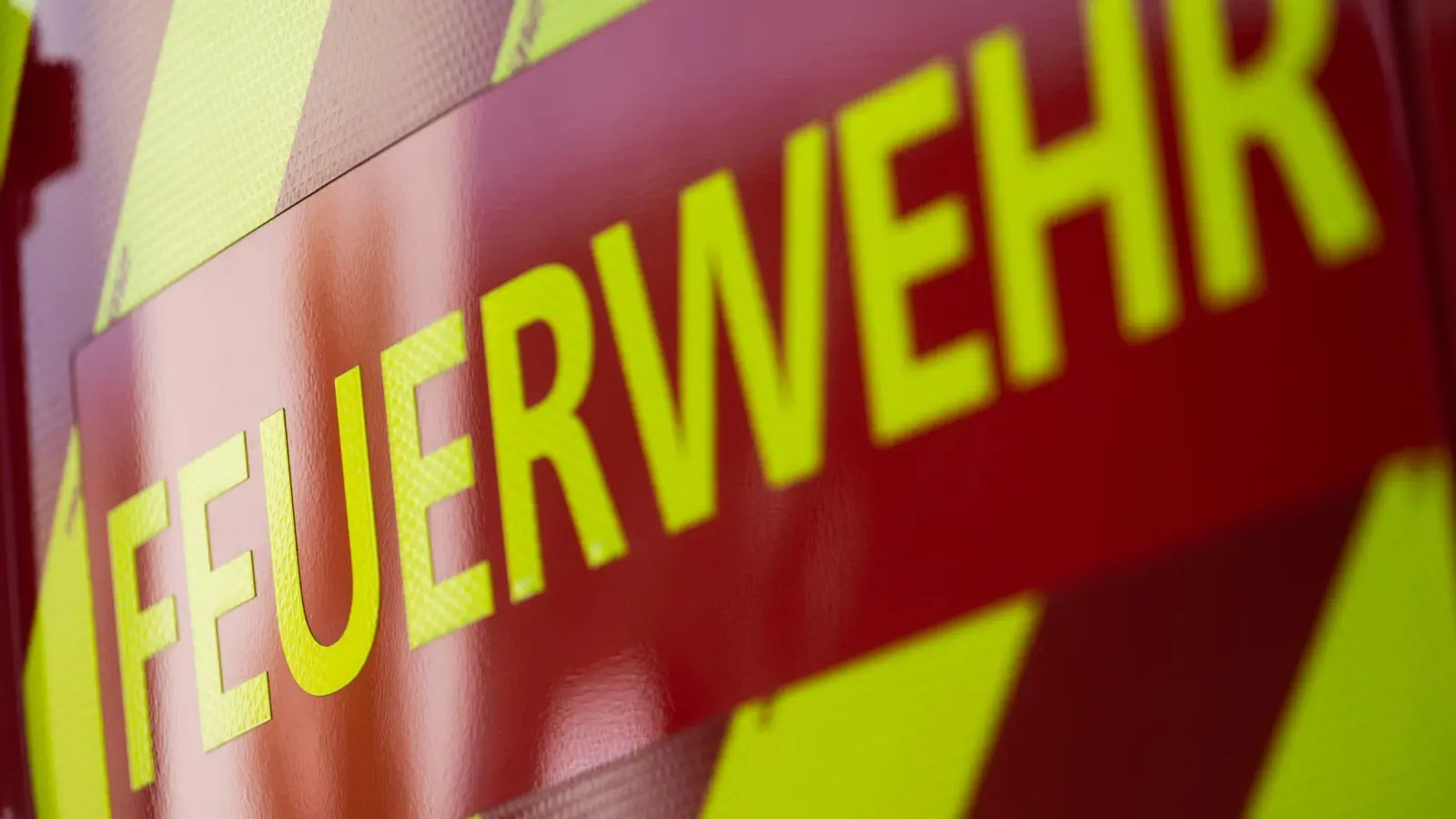Der Arbeiter war gerade mit Baumpflegearbeiten beschäftigt. (Symbolbild) (Bild: Marijan Murat/dpa)