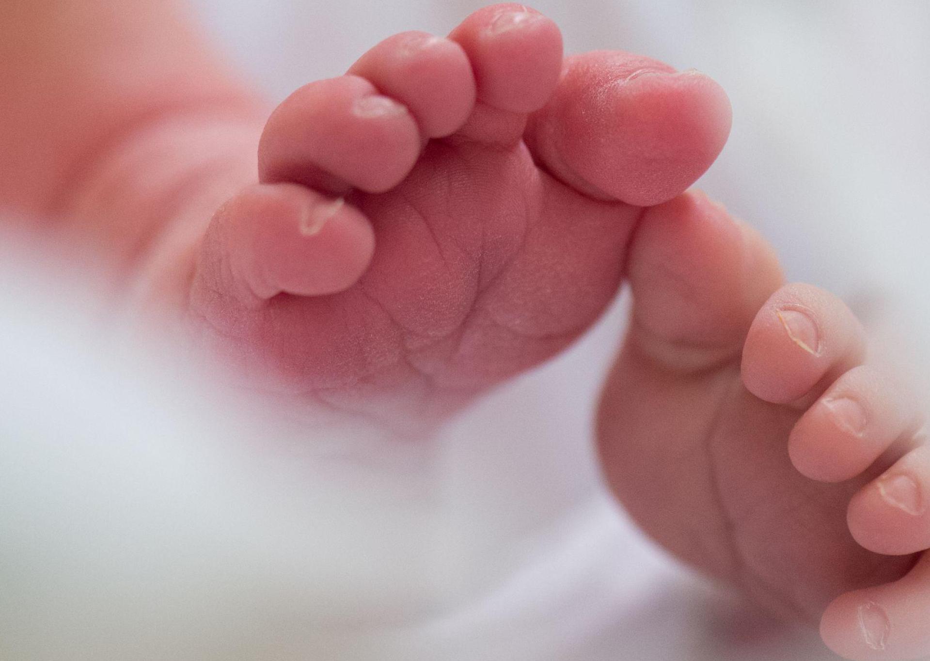 In vielen Ländern ist die Geburtenrate in den vergangenen Jahrzehnten stark gesunken. Die Arbeit im Heimbüro könnte den Rückgang laut einer neuen Studie möglicherweise etwas bremsen. (Symbolbild) (Bild: Arno Burgi/dpa-Zentralbild/dpa)