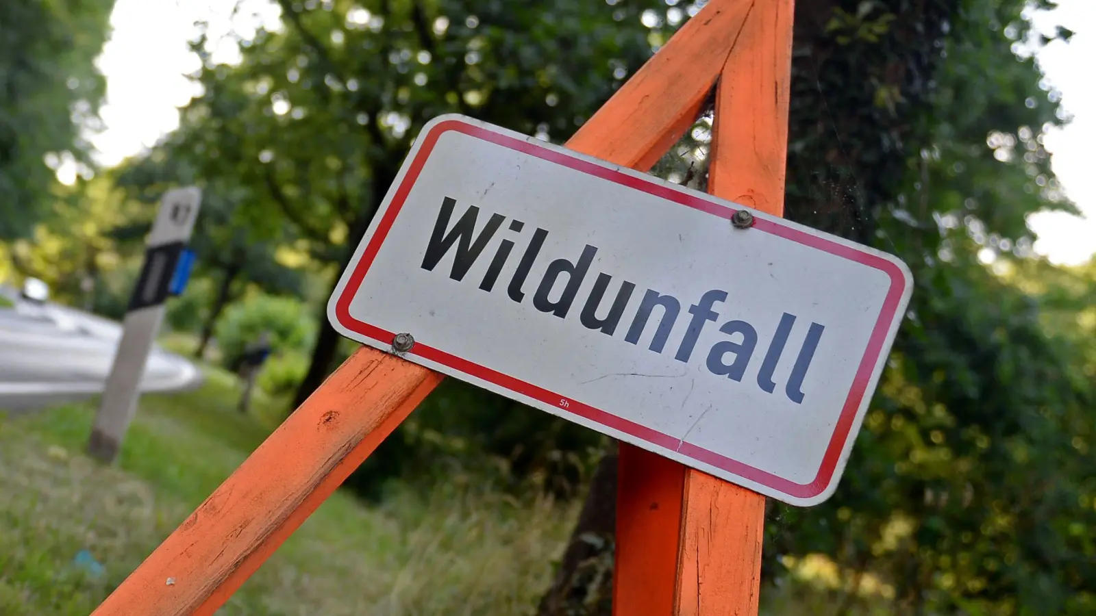 Ein Wildunfall auf der Ortsverbindungsstraße zwischen Neukirchen und Schönlind wurde erst zwei Stunden nach der Kollision mit einem Reh bei der Polizei gemeldet. (Symbolbild: Susann Prautsch/dpa)