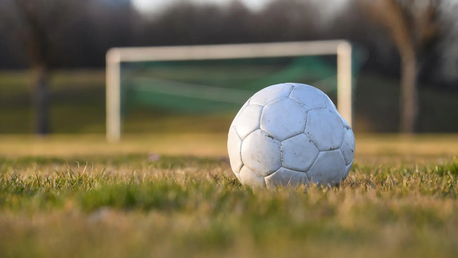 Mit einem Regenschirm und einer Trainingsstange gingn ein Vater und sein Sohn in Regensburg auf Spieler und Trainer los. (Symbolbild: Tobias Hase/dpa)
