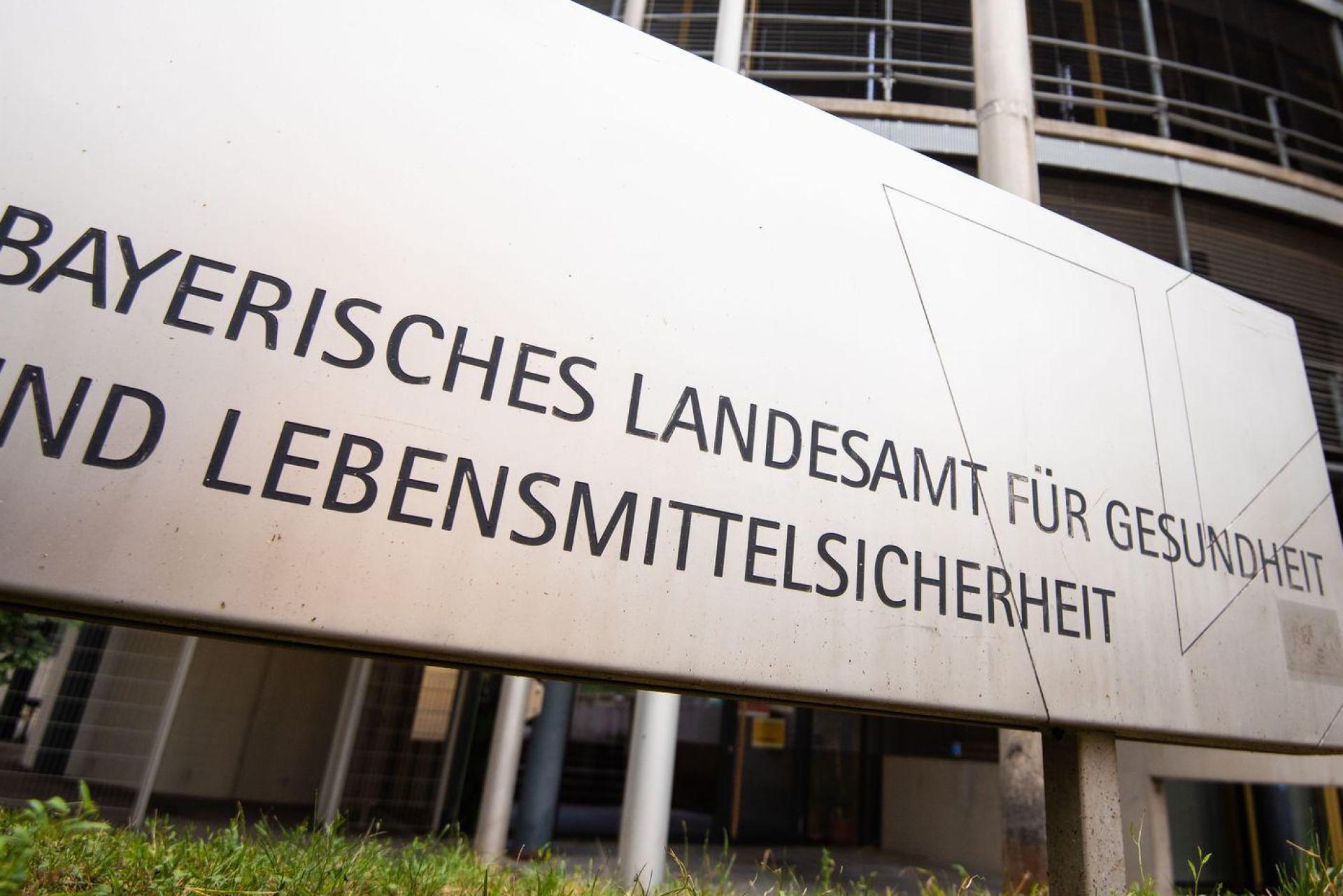 Das Landesamt für Gesundheit und Lebensmittelsicherheit warnt vor dem Kontakt mit Spitzmäusen. (Symbolbild: Nicolas Armer/dpa)