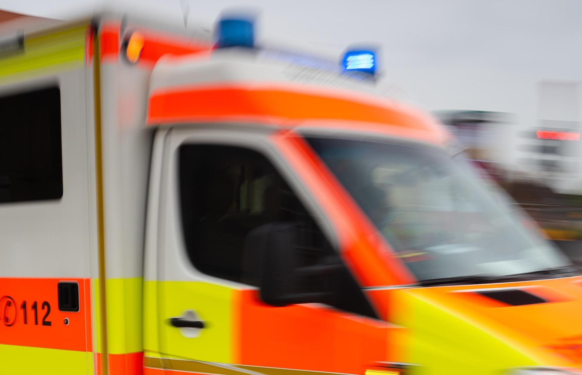 Ein Lkw-Fahrer ist bei Schmidgaden von einem Hund schwer verletzt worden. (Symbolbild: Nicolas Armer/dpa)