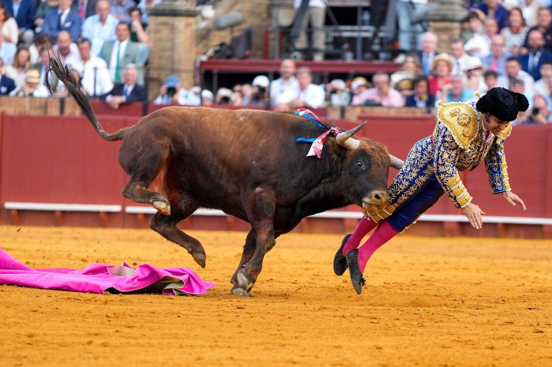Der mehr als 500 Kilogramm schwere Bulle Clandestino spießte den Star-Torero von hinten auf. (Bild: Joaquín Corchero/EUROPA PRESS/dpa)