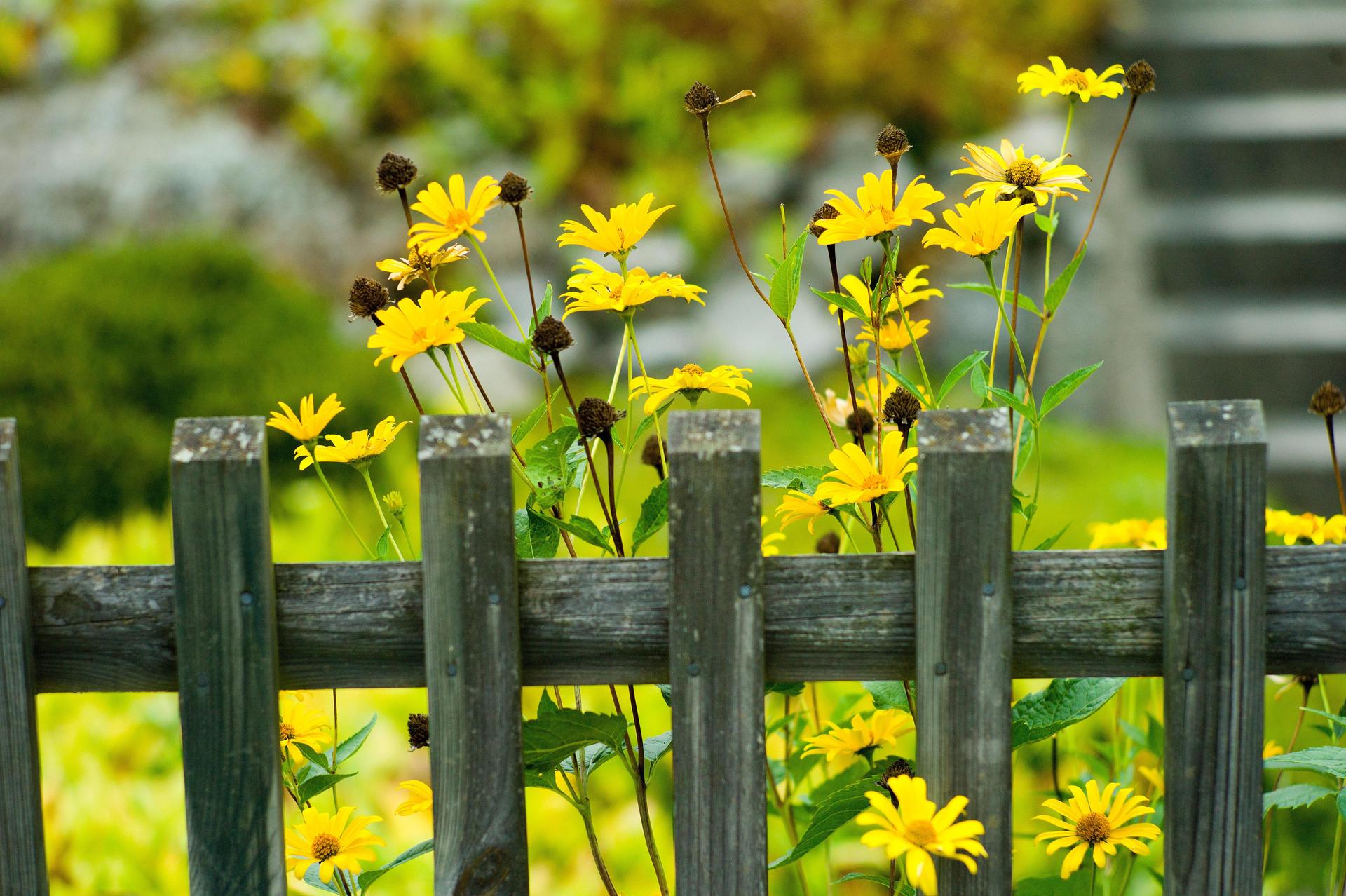 In Etsdorf ist ein Gartenzaun umgefahren worden.  (Bild: Maurizio Gambarini)