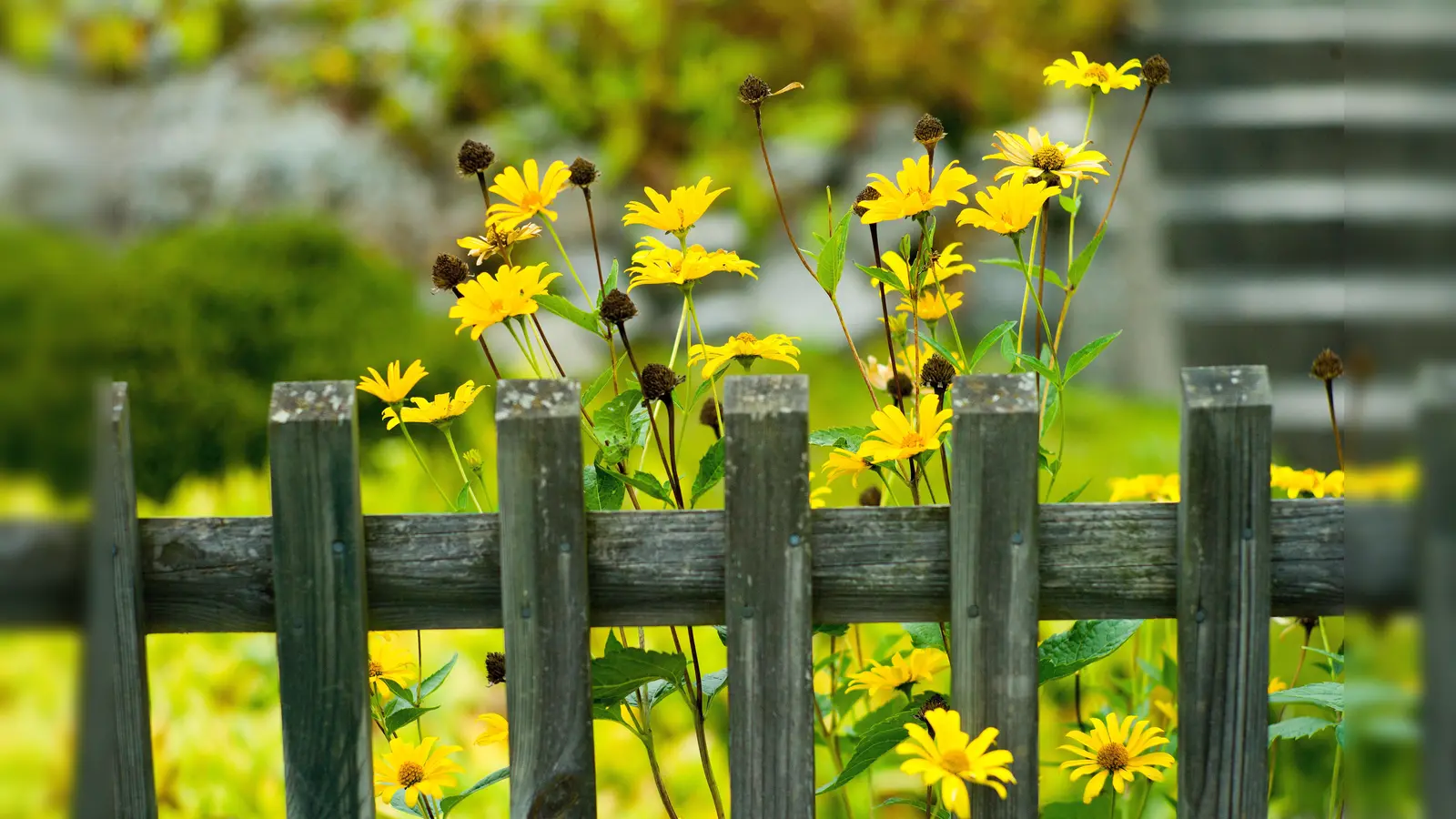 In Etsdorf ist ein Gartenzaun umgefahren worden.  (Bild: Maurizio Gambarini)