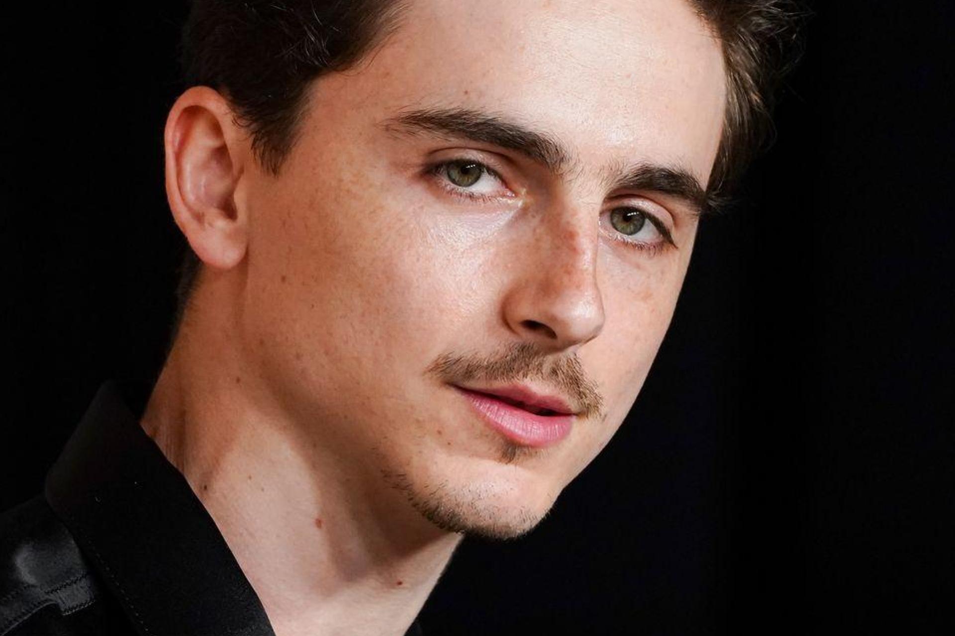 Timothée Chalamet gilt aktuell als einer der gefragtesten Schauspieler Hollywoods (Archivbild). (Bild: Jordan Strauss/Invision/dpa)