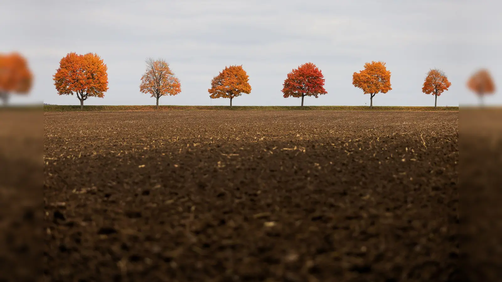 Ein 21-Jähriger verursacht in Teublitz einen erheblichen Flurschaden, als er mit seinem Kleintransporter über ein Feld abkürzt. (Symbolbild: Thomas Warnack /dpa)