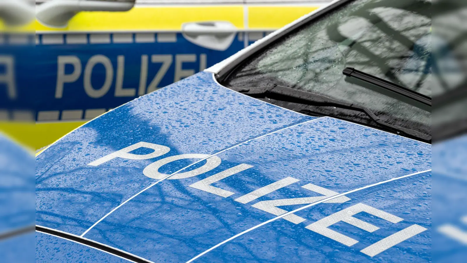 Die Polizei ermittelt gerade wegen eines Diebstahls in Hohenburg. (Bild: Soeren Stache/dpa)