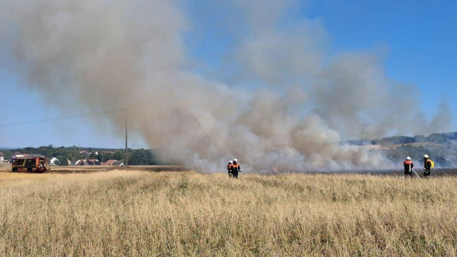 Vegetationsbrände im Landkreis Amberg-Sulzbach sorgen wie h9ier in Schnaittenbach für einen Dauereinsatz der Feuerwehren.  (Bild: KBM Michael Werner)