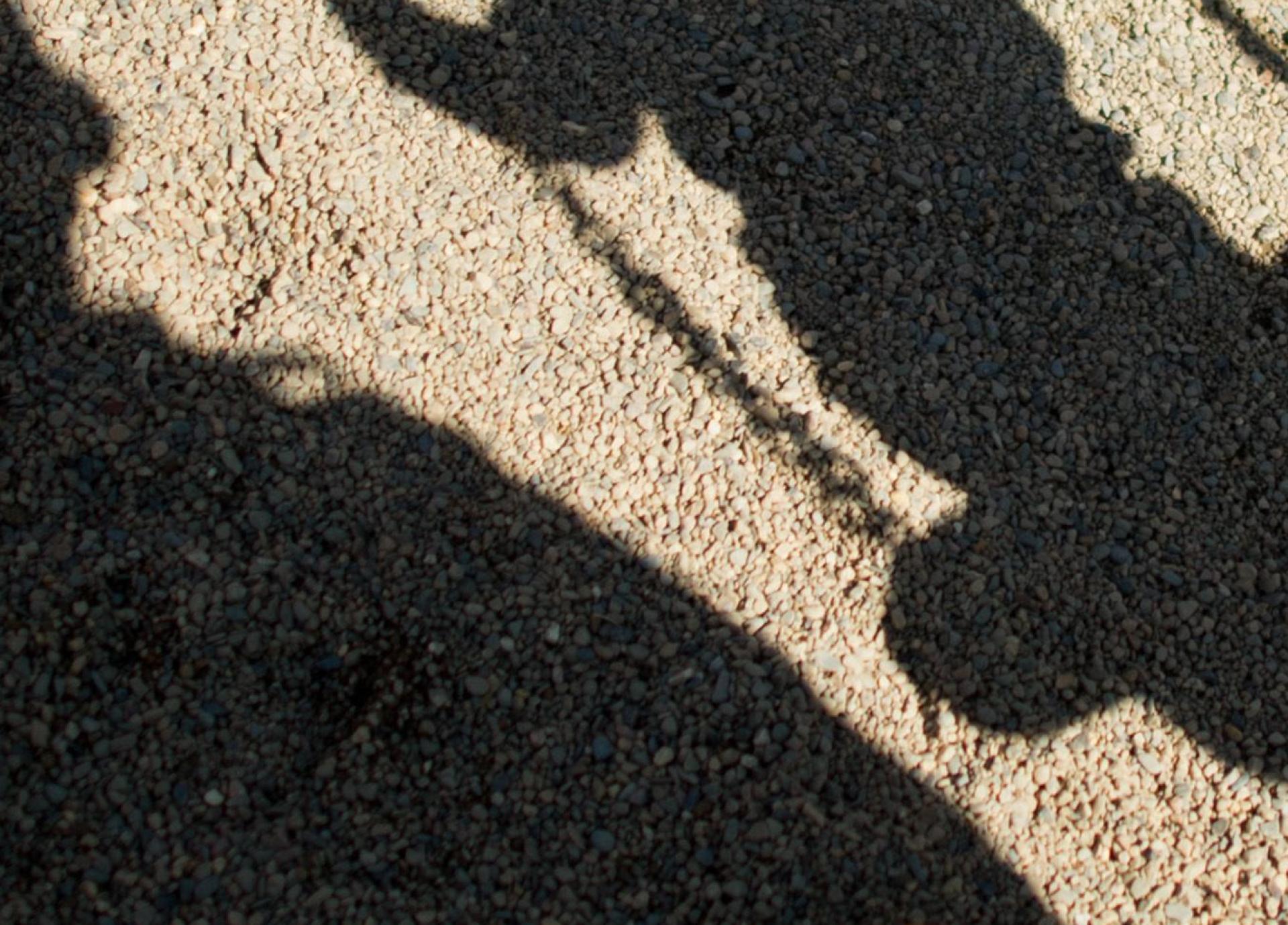 Ein Mann mit seinem E-Scooter hat sich bei Hohenfels vor drei Jungen entblößt.  (Symbolbild: Julian Stratenschulte / dpa)