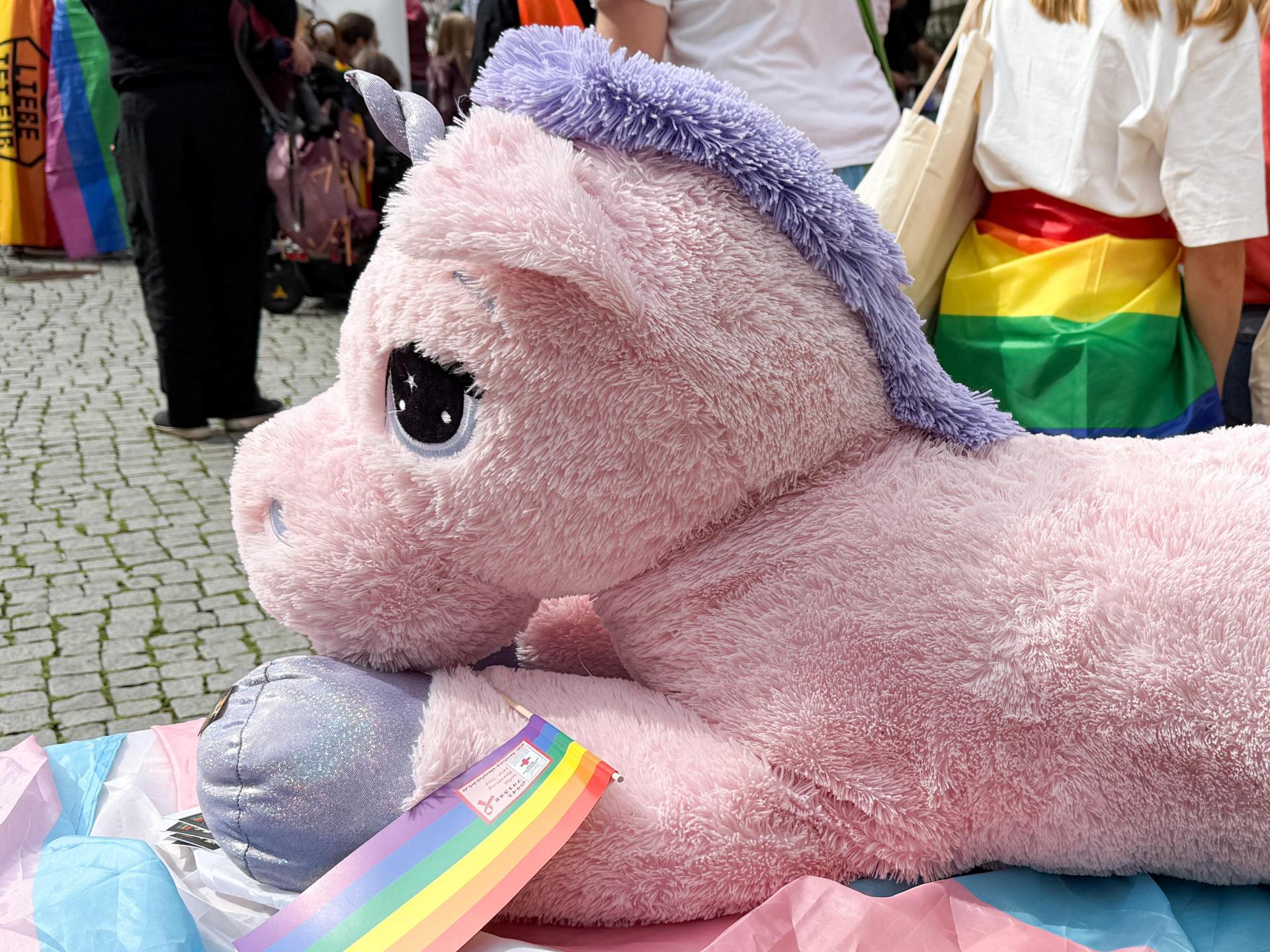 Christopher Street Days (CSD) Amberg 2025. (Bild: Petra Hartl)