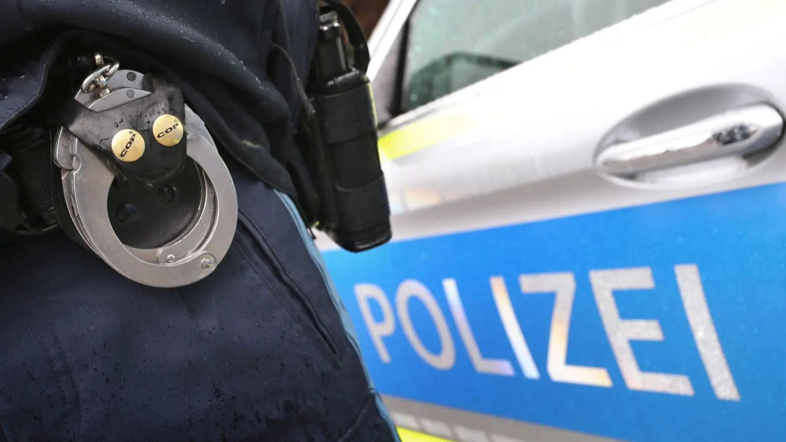 Der 33-Jährige griff einen Polizeibeamten an, als dieser ihn festnehmen wollte. (Symbolbild) (Bild: Karl-Josef Hildenbrand/dpa)