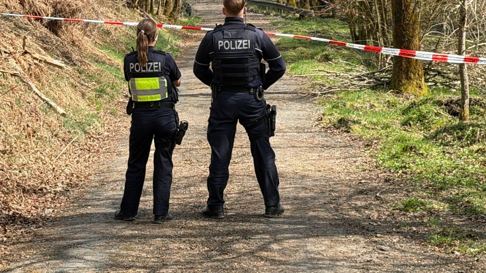 Ein Missverständnis führte zu einer Fällaktion im Wald bei Neukirchen b. Sulzbach-Rosenberg. Die Polizei ermittelt wegen Sachbeschädigung. (Symbolbild: Berthold Stamm/dpa)