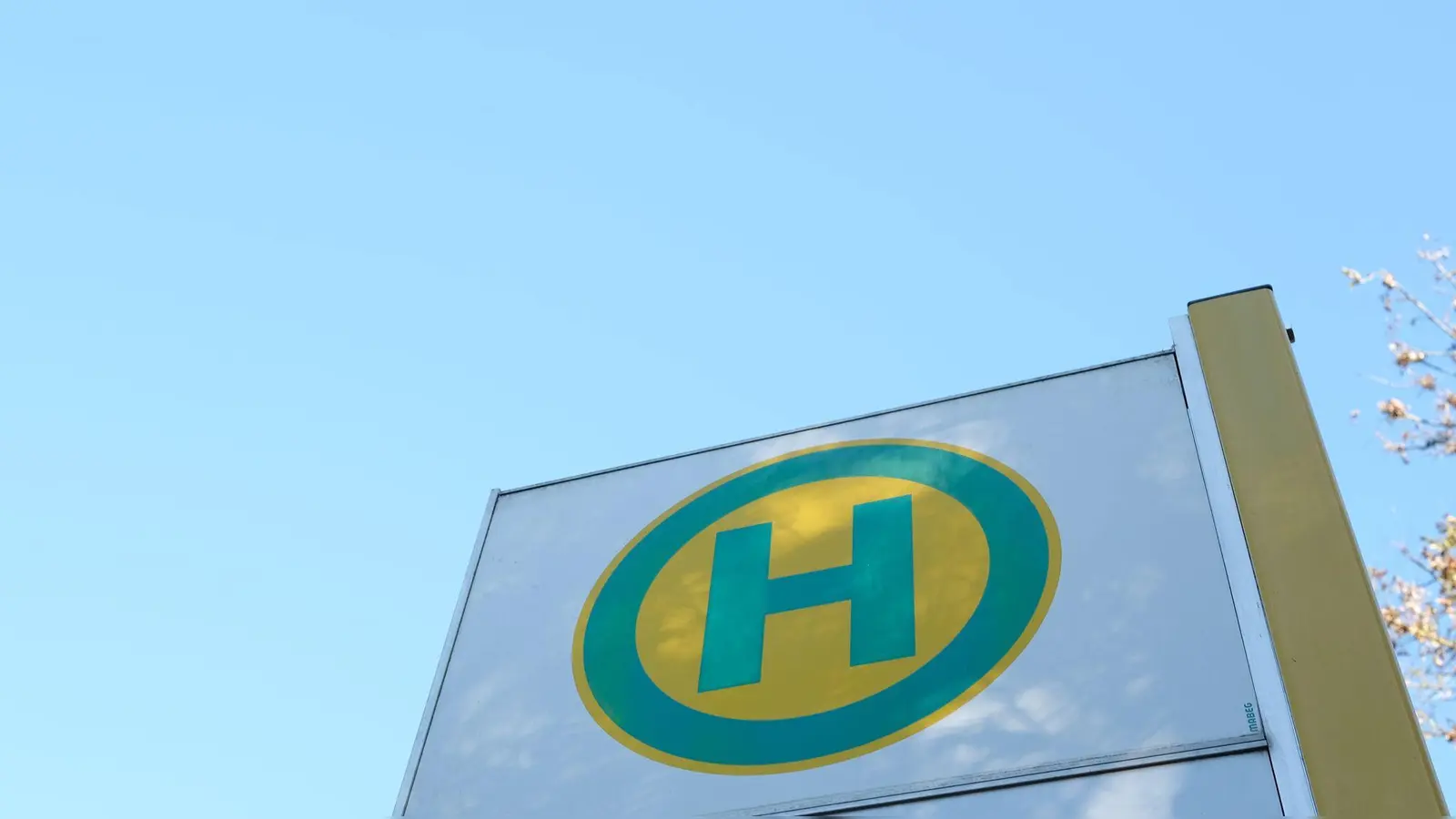 Während der Pflegemaßnahmen der Stadtgärtnerei in Sulzbach-Rosenberg auf Höhe des Dultplatzes können die beiden dort befindlichen Haltestellen nicht bedient werden.  (Symbolbild: Bernd Weißbrod/dpa)