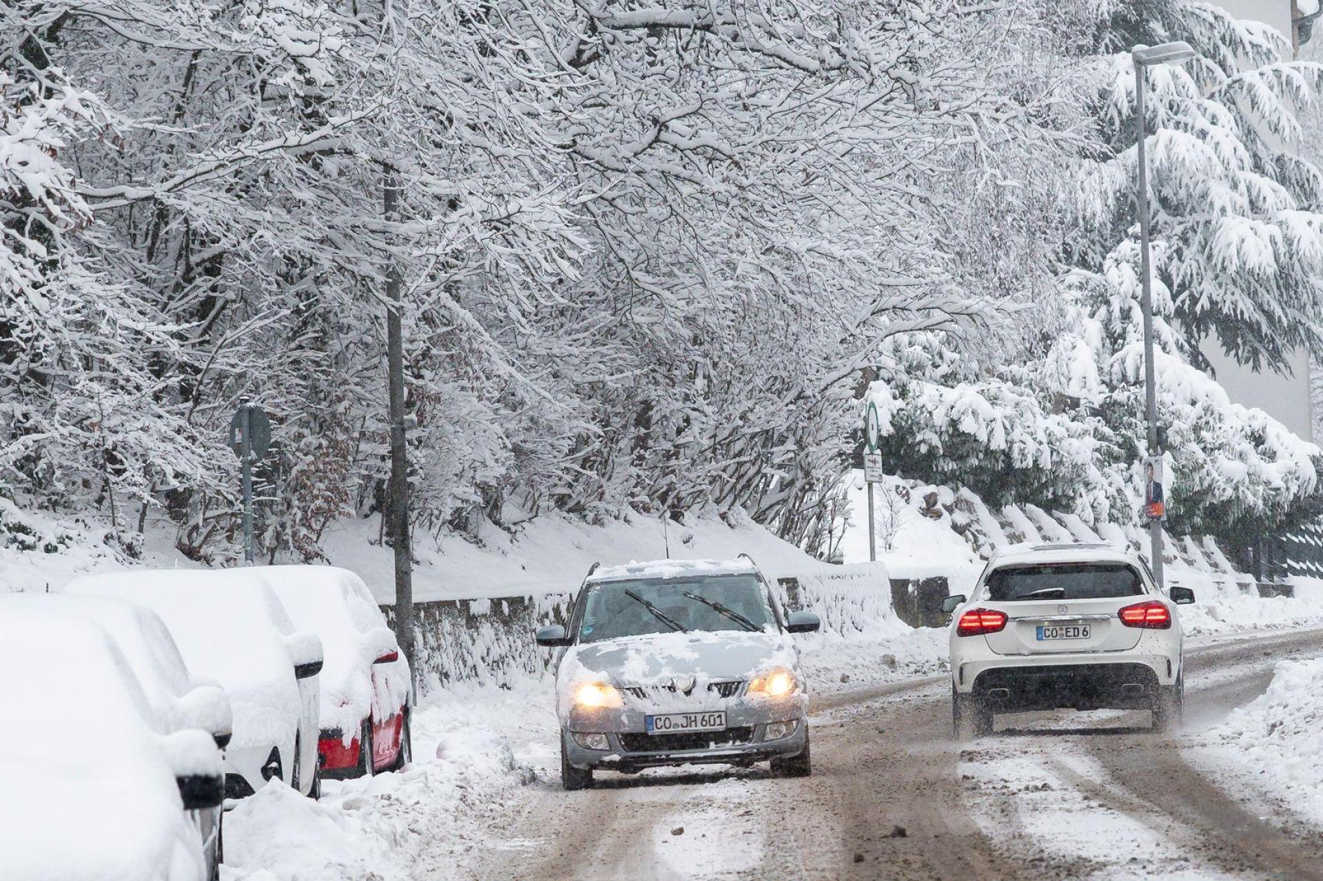 Das Winterwetter in Bayern hat viele Auswirkungen – Bäume, die unter der Schneelast zusammenbrechen, führen beispielsweise zu Unfällen. (Symbolbild: Daniel Vogl/dpa)