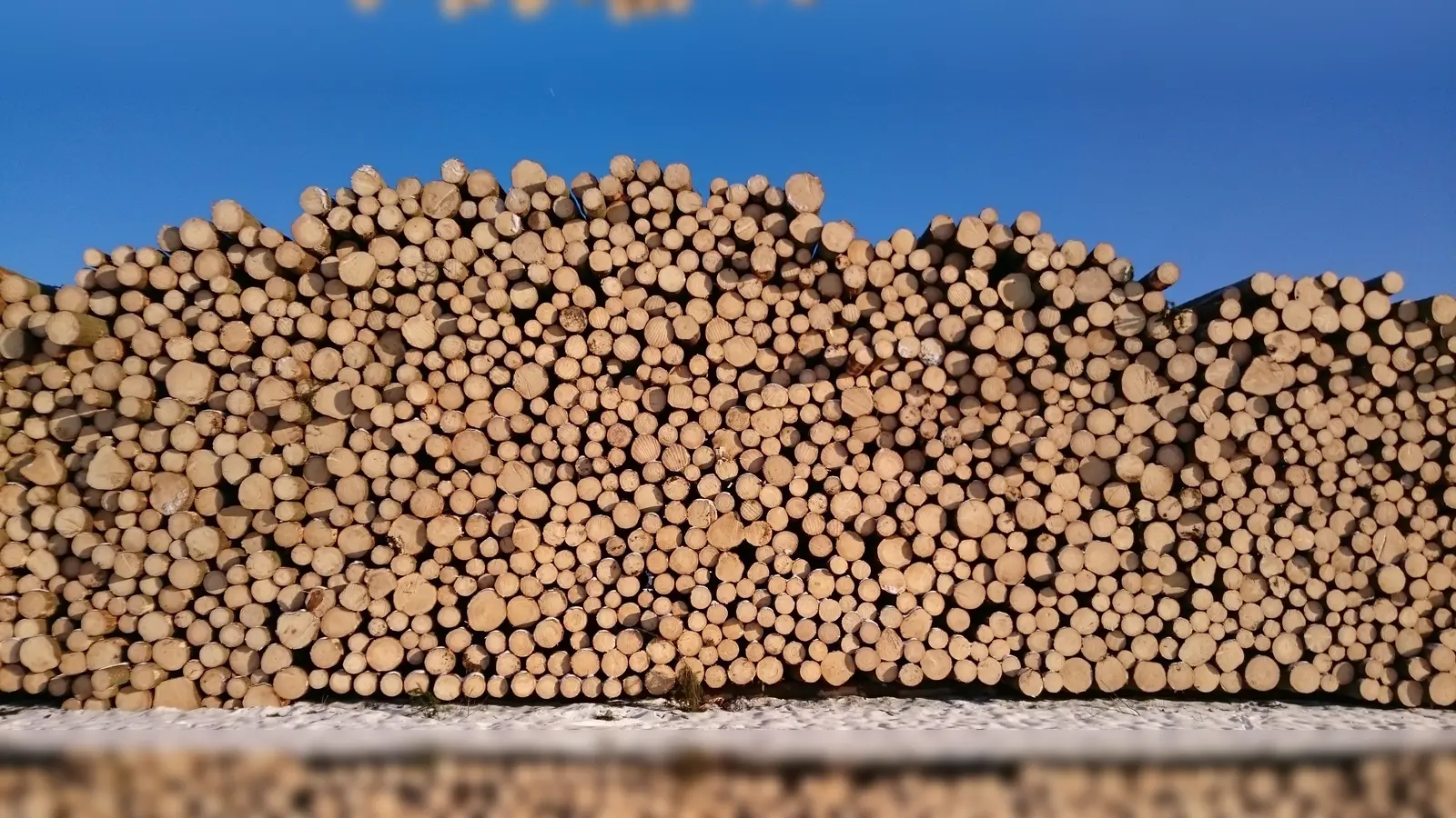 Unbekannte Täter entwenden 18 Ster Holz von einem Lagerplatz in Kastl. Die Polizei ermittelt und sucht Zeugen. (Symbolbild: dob)